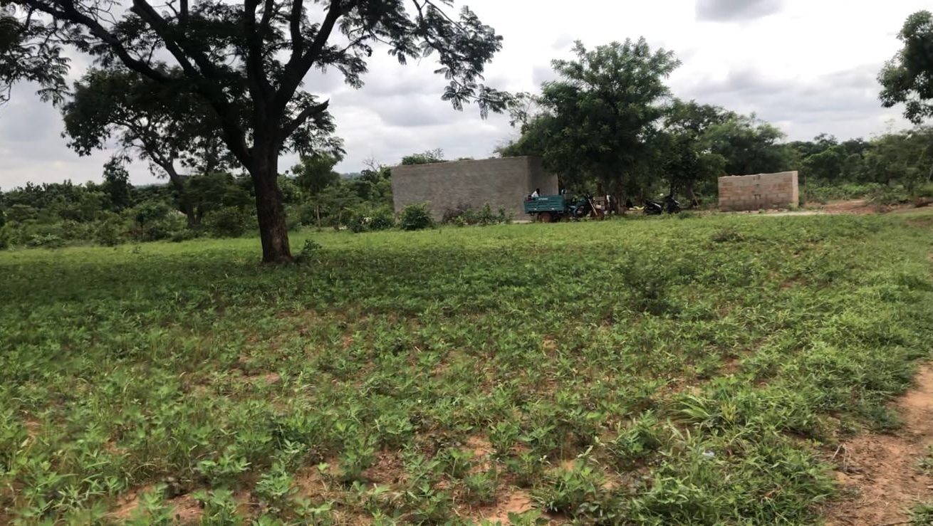 Terrain agricole de 2 hectares à Léguéma, au Burkina Faso, destiné au projet de maraîchage pour l'autonomisation des femmes.